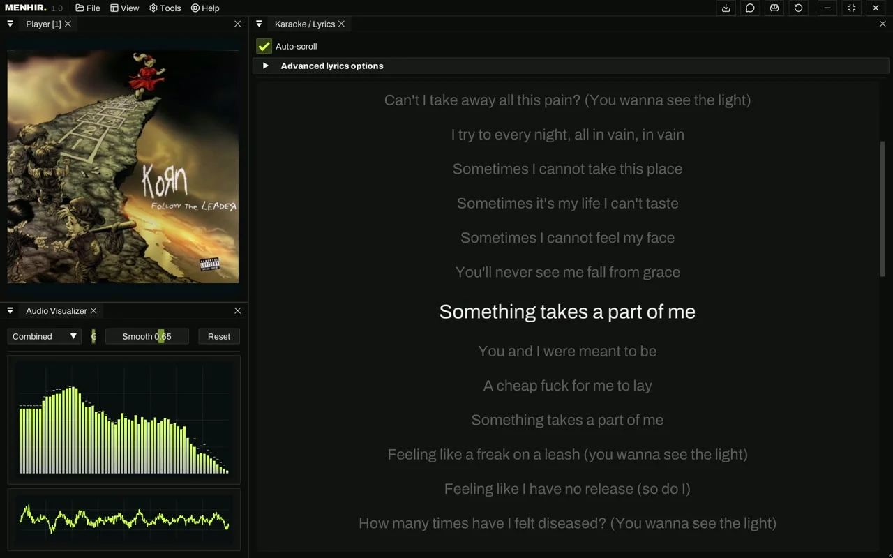 Karaoke panel with synced lyrics